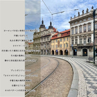 【Put on socks プットオンソックス】"pave(パヴェ)" コットンソックス(6 COLOR)